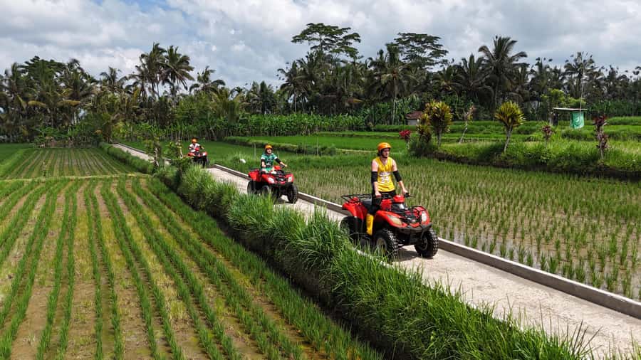 Ubud: Guided ATV Quad Bike Jungle Adventure with Lunch - The ride itself: jungle, rice fields, rivers, and tunnels