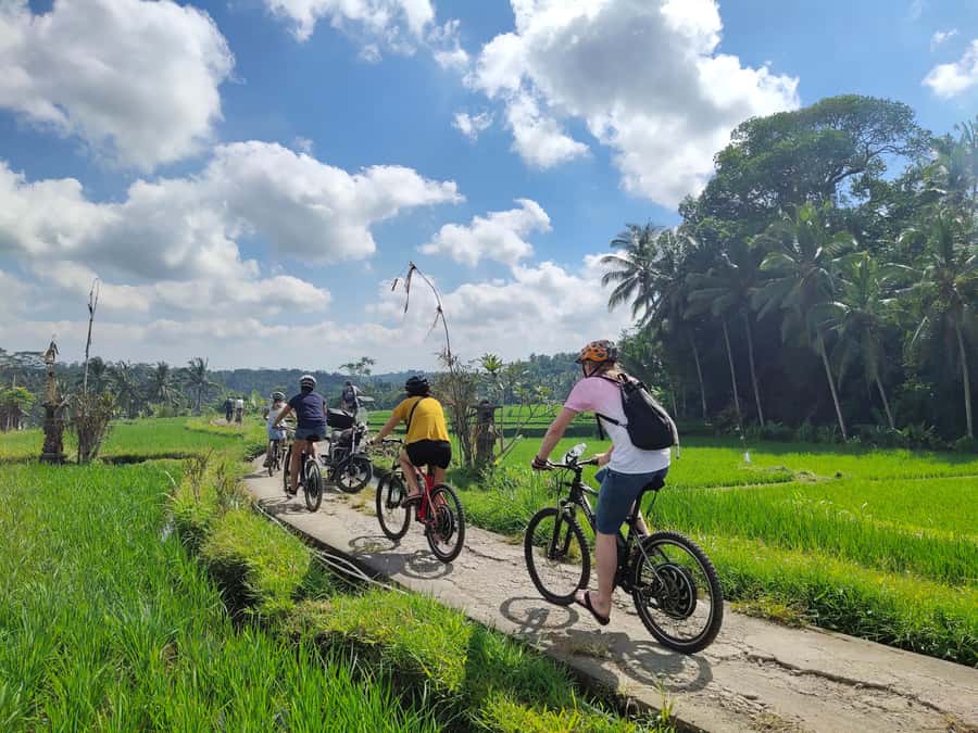 Ubud: Half-Day Tegallalang Electric Cycling Tour - Key points to know before you go