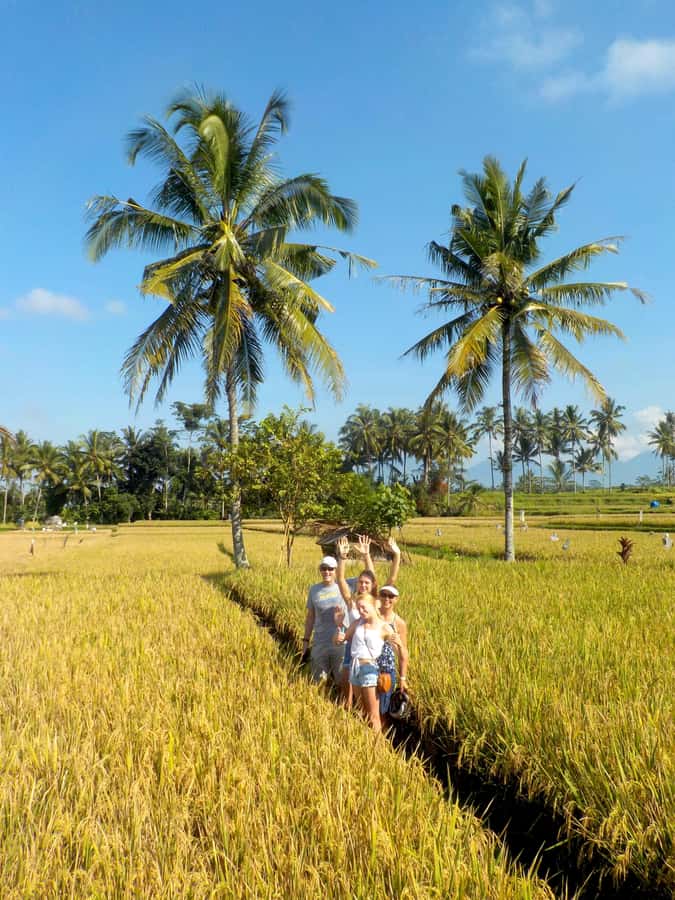 Ubud: Half-Day Tegallalang Electric Cycling Tour - Why electric cycling in Ubud feels easier than you think
