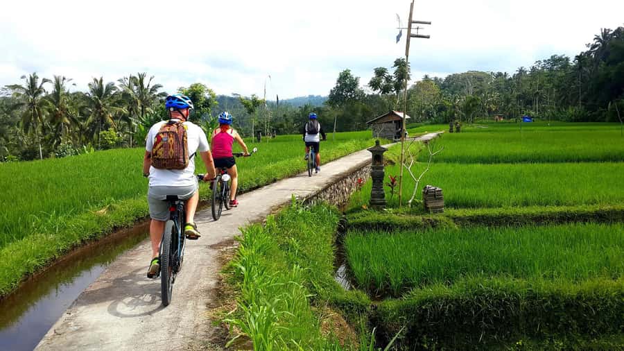 Ubud: Half-Day Tegallalang Electric Cycling Tour - Pedaling from Ubud into countryside and rice-terrace country