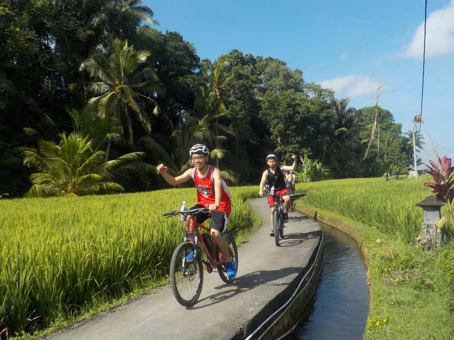 Ubud: Half-Day Tegallalang Electric Cycling Tour - Tegallalang photo stop: when to slow down and take the shot