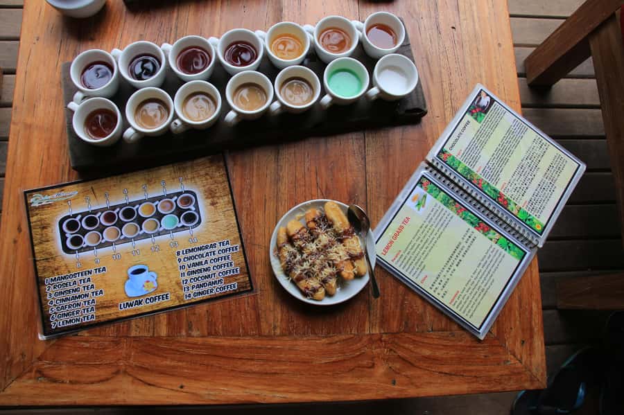 Ubud: Half-Day Tegallalang Electric Cycling Tour - Coffee plantation stop or Balinese family compound: pick the vibe you want