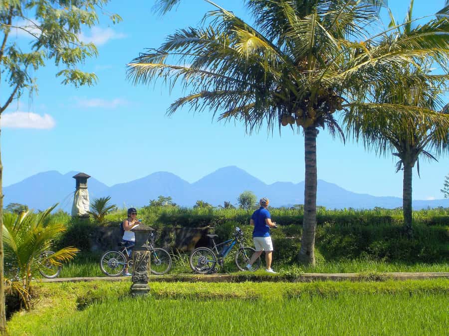 Ubud: Half-Day Tegallalang Electric Cycling Tour - Pickup, transport fees outside central Ubud, and how to plan your day