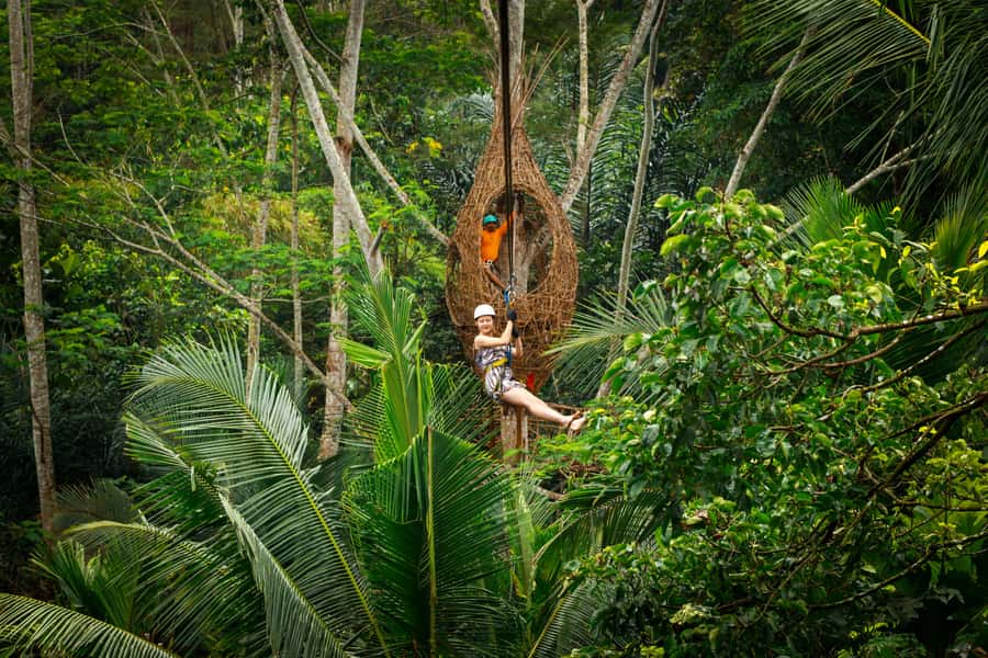 Ubud: Half-Day Zipline and Jungle Swing Adventure - Why Ubud’s coconut-tree zipline plus jungle swing is such a good half-day plan