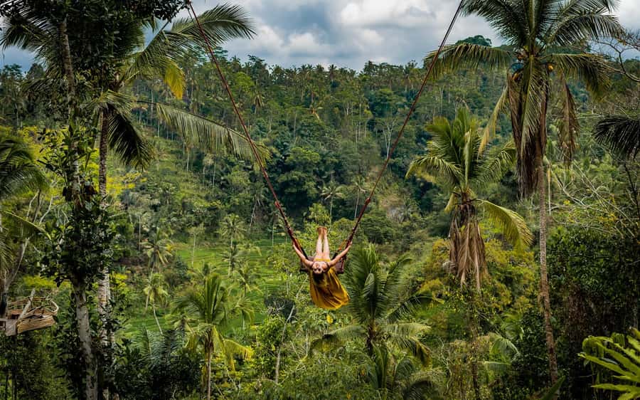 Ubud: Half-Day Zipline and Jungle Swing Adventure - Natural jungle pool option: cold water, big steps, and a long cooldown