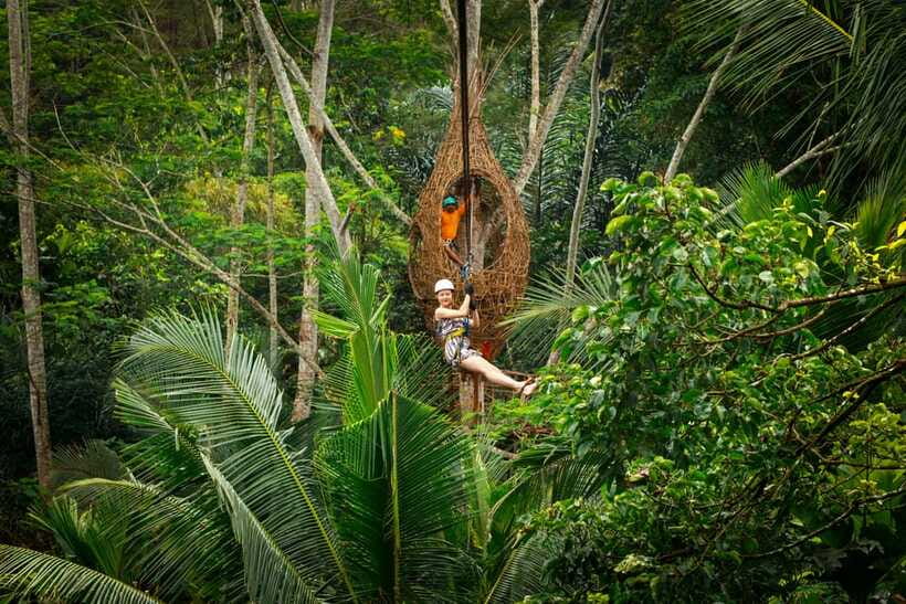 Ubud: Half-Day Zipline and Jungle Swing Adventure - Price and value: does $33 make sense for what you actually get?