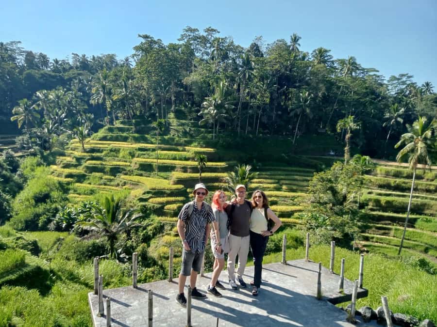 Ubud: Hidden Gems and Waterfalls Private Tour - Tukad Cepung Waterfall: clarity, swimming, and the stair reality check