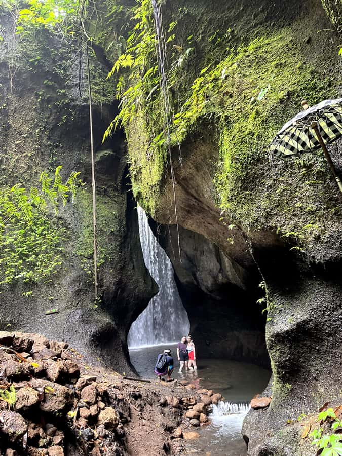 Ubud: Hidden Gems and Waterfalls Private Tour - Price and value, what $43 covers in real life