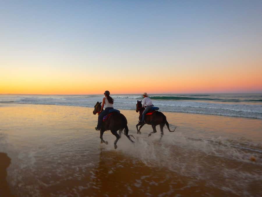Ubud: Horse Riding, Zip-Line Tour & Waterfall Tour - A Full-Day Bali Mix: Beach Horses, Waterfall Swim, and Jungle Zip-Line