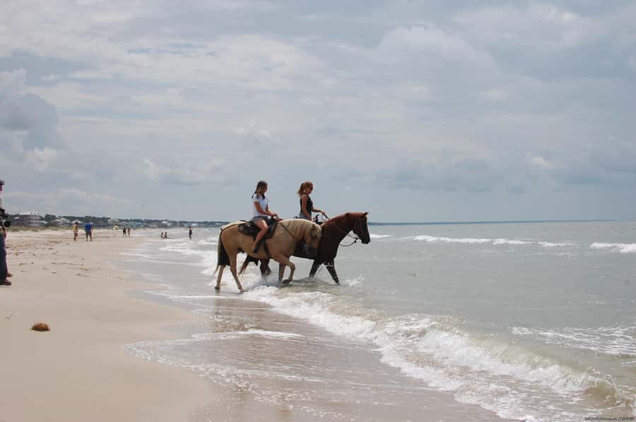 Ubud: Horse Riding, Zip-Line Tour & Waterfall Tour - What $44 Gets You: Value Beyond the Activities