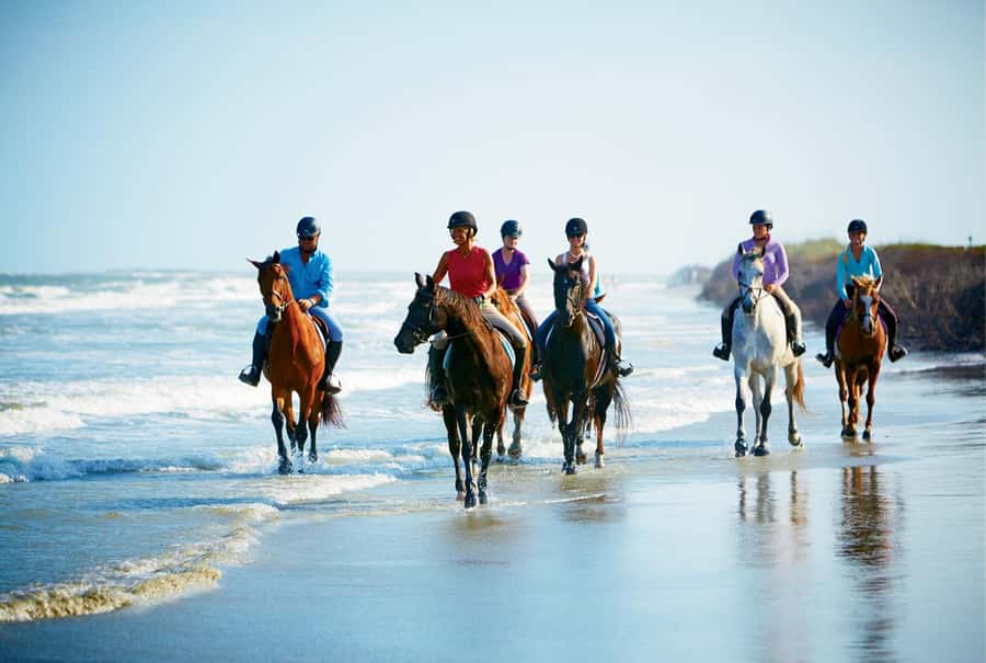 Ubud: Horse Riding, Zip-Line Tour & Waterfall Tour - Who Should Book This, and Who Should Skip It