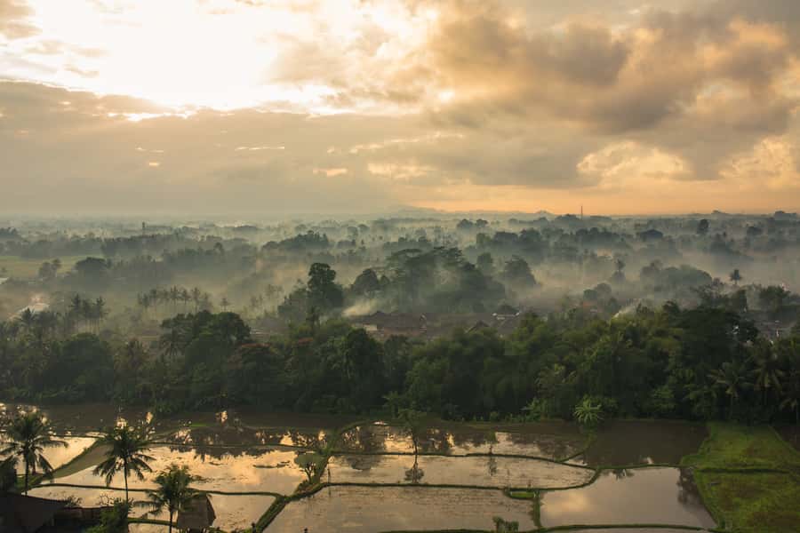 Ubud: Hot Air Balloon Experience - Price and value: is $189 per group up to 2 worth it?
