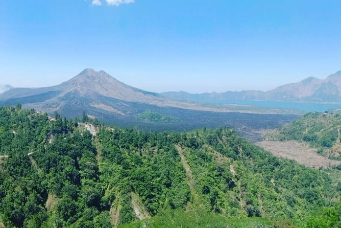 Ubud Hot Springs and Waterfall Private Guided Tour - Tegalalang Rice Terrace and Happy Swing: Short Trek Energy and Big Views