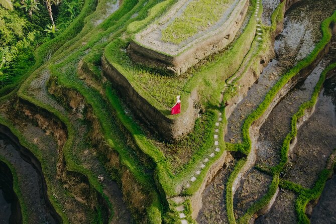 UBUD Instagram Spot Tour with Photographer - Price and the real budget math for Ubud