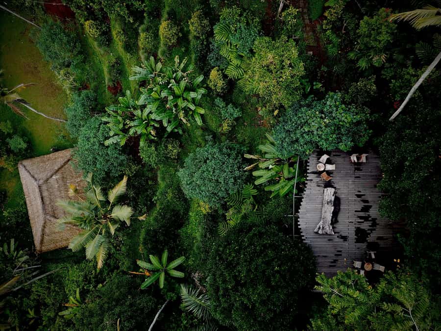 Ubud: Kanto Lampo Waterfall, Art Market, Cretya & Tanah Lot - Coffee tasting with panoramic valley views, only if you add it on