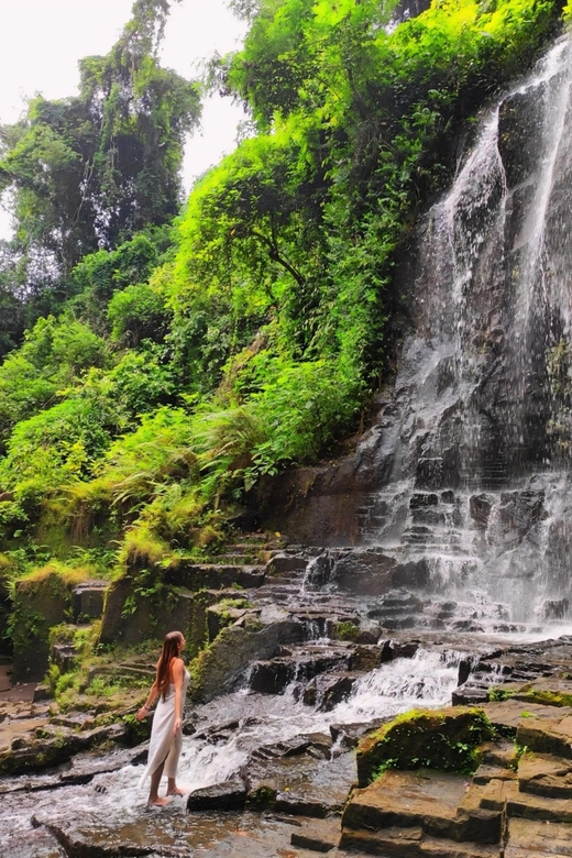 Ubud: Kanto Lampo Waterfalls, Jungle Swing, Rice Terrace - Price and Value: Is Around $35 a Good Deal for This Much Ubud?