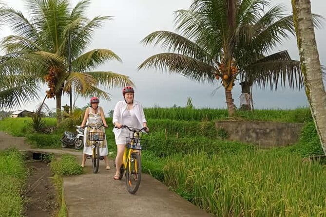 Ubud : Kintamani Downhill Cycling Tour with Lunch - Pickup, drop-off, and the start of your day