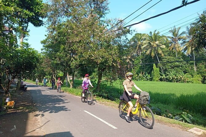 Ubud : Kintamani Downhill Cycling Tour with Lunch - Guide and bikes: the quality issues that decide if a tour feels smooth