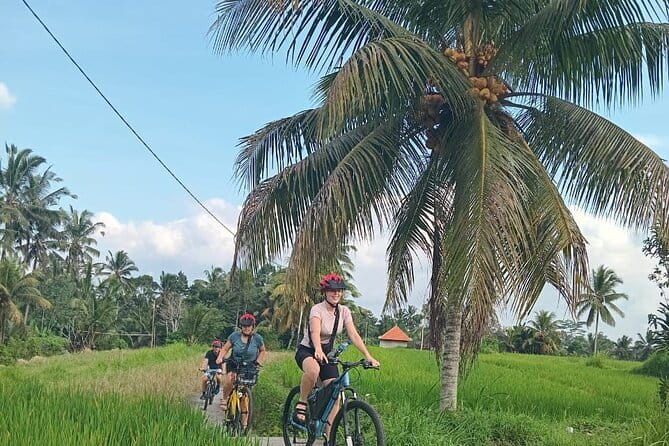 Ubud : Kintamani Downhill Cycling Tour with Lunch - Price and value: what $29.90 actually buys you