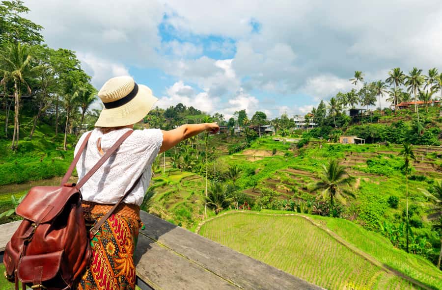 Ubud: Monkey Forest and Rice Terrace Private Tour - Duration and pacing: 8 to 10 hours sounds easy, but plan for it