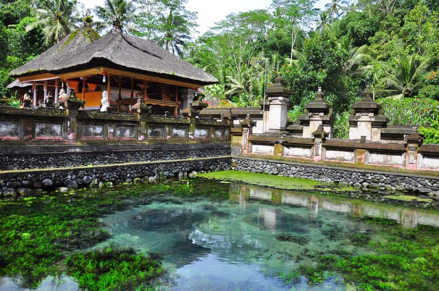 Ubud: Monkey Forest, Ceking Rice Terraces and More- Full Day - Packing and personal setup: your day gets easier if you plan for heat, insects, and walking