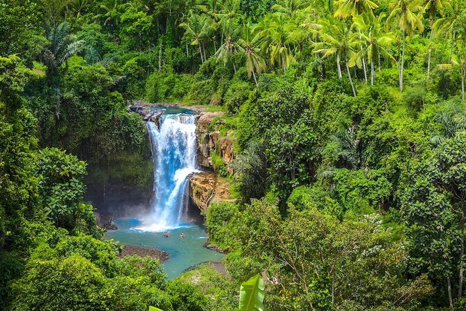 Ubud: Monkey Forest, Jungle Swing, Rice Terrace, and Water Temple - Tirta Empul Holy Spring Temple: A Real Cultural Stop, Not Just a Photo Moment