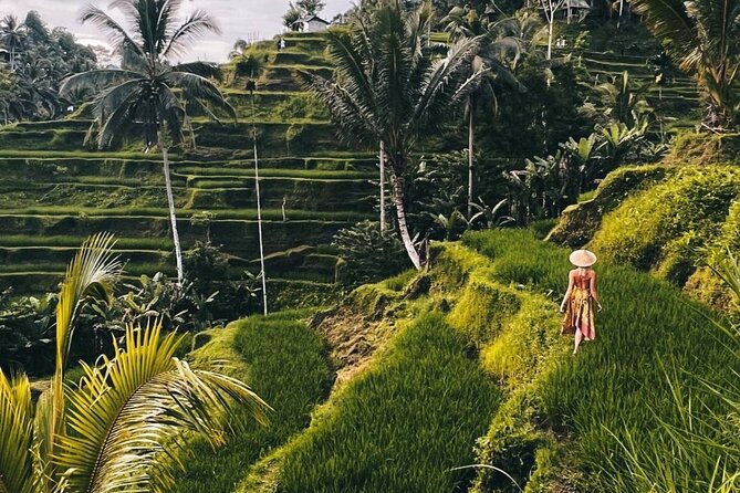 Ubud Monkey Forest, Rice Terrace & Tirta Empul Temple Tour - Key Highlights You Will Actually Feel During the Day
