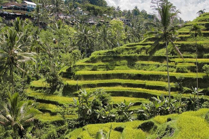 Ubud Monkey Forest, Rice Terrace & Tirta Empul Temple Tour - Tirta Empul Temple: Water Purification in a Living Place of Worship