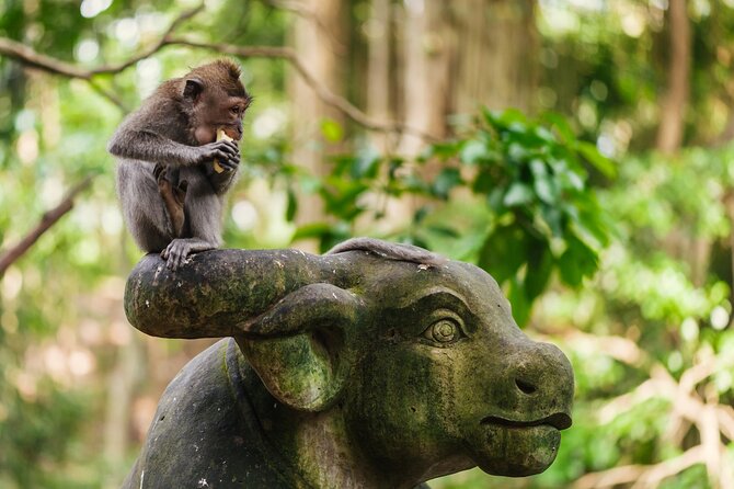 Ubud: Monkey Forest, Rice Terraces & Sacred Temples - Starting in Ubud: pickup, timing, and why the long day works