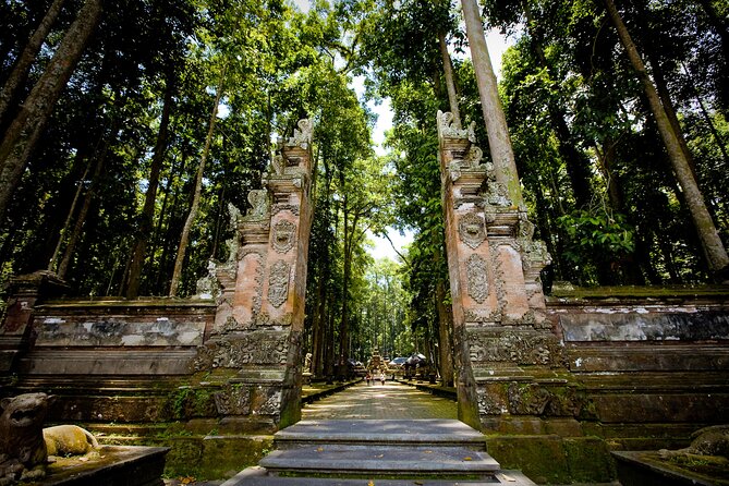 Ubud: Monkey Forest, Rice Terraces & Sacred Temples - Tegalalang rice terraces: how to get the best viewpoint time