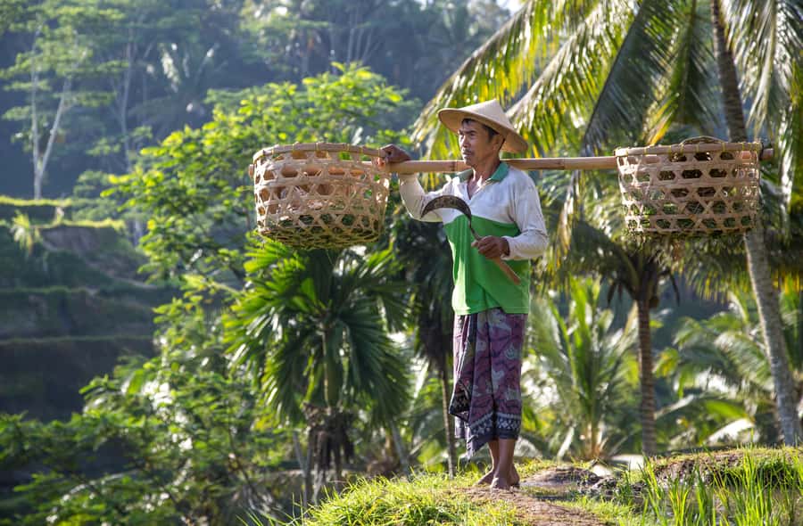Ubud:Monkey Forest, Rice Terraces, Water Temples, Waterfalls - Key things I’d pay attention to before you go