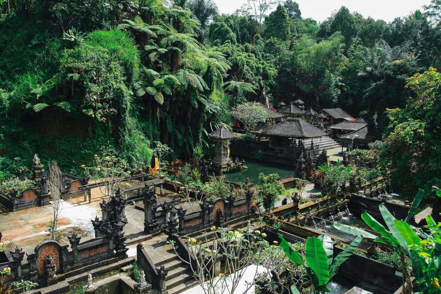 Ubud:Monkey Forest, Rice Terraces, Water Temples, Waterfalls - Should you book this Ubud day trip?