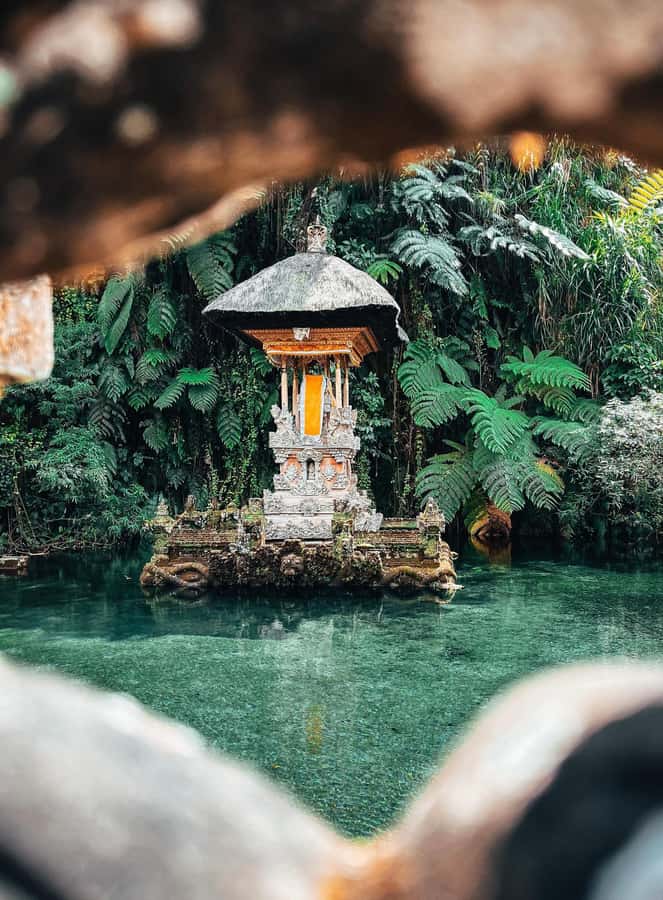 Ubud:Monkey Forest, Rice Terraces, Water Temples, Waterfalls - Sacred Monkey Forest Sanctuary: playful macaques with a real cultural setting