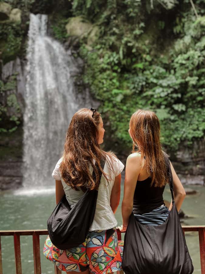 Ubud:Monkey Forest, Rice Terraces, Water Temples, Waterfalls - Price and what you actually get for around $19