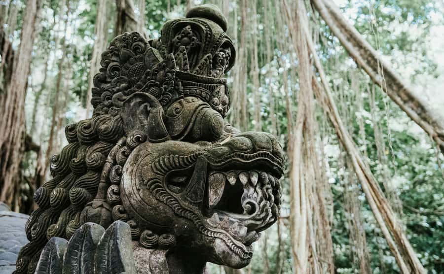 Ubud, Monkey forest, Riceterace Waterfall, Purification - The Ubud combo that saves you time and decision fatigue