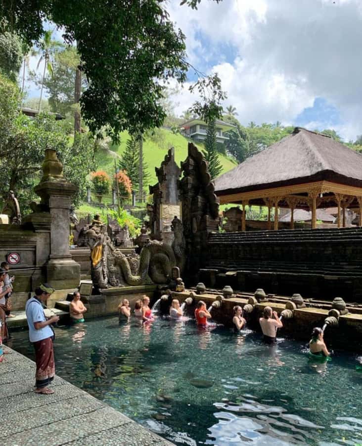 Ubud, Monkey forest, Riceterace Waterfall, Purification - Monkey Forest: the part with monkeys, temples, and etiquette