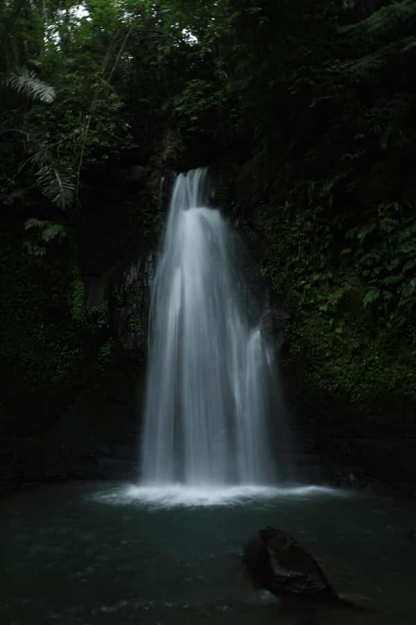 Ubud, Monkey forest, Riceterace Waterfall, Purification - Tegallalang rice terraces and Bali Swing: big views, real crowd pressure