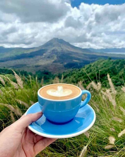Ubud, Monkey forest, Riceterace Waterfall, Purification - Ulu Petanu Waterfall: a calmer scenic break
