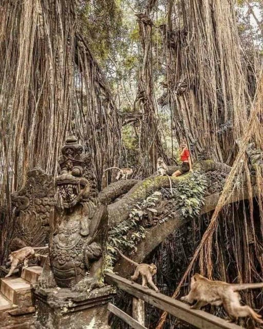 Ubud, Monkey forest, Riceterace Waterfall, Purification - Coffee plantation stop: tasting culture without turning it into a sales trap