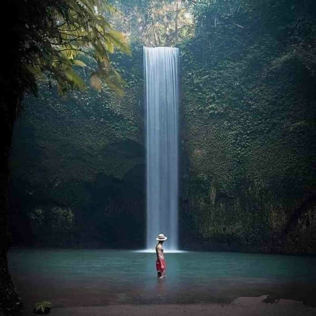 Ubud, Monkey forest, Riceterace Waterfall, Purification - Price and value: why $21 can still end up costing more