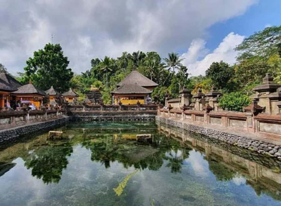 Ubud, Monkey forest, Riceterace Waterfall, Purification - Pickup in Kuta, Canggu, Seminyak, or Ubud, and how that helps