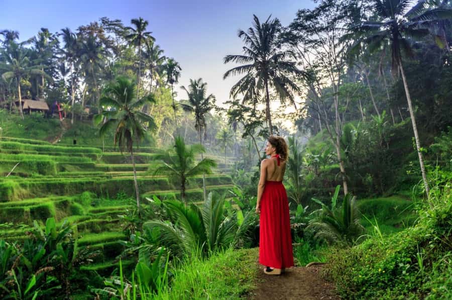 Ubud: Monkey Forest Sanctuary & Jungle Swing Tour - Key highlights worth your attention