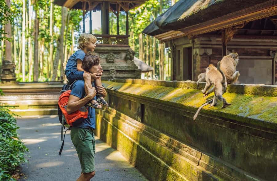 Ubud: Monkey Forest Sanctuary & Jungle Swing Tour - Why the guide matters more than you think in Ubud