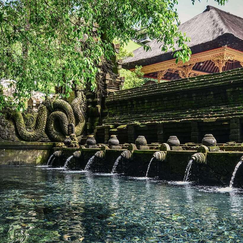 Ubud: Monkey Forest, Temple, Rice Terraces, Hidden Waterfall - The guides: why names like Ngurah, Nyoman, Pande, and Bayu keep showing up