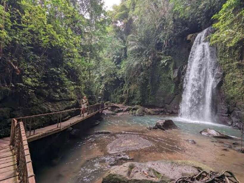 Ubud: Monkey Forest, Temple, Rice Terraces, Hidden Waterfall - Ubud in one long day: why this loop makes sense
