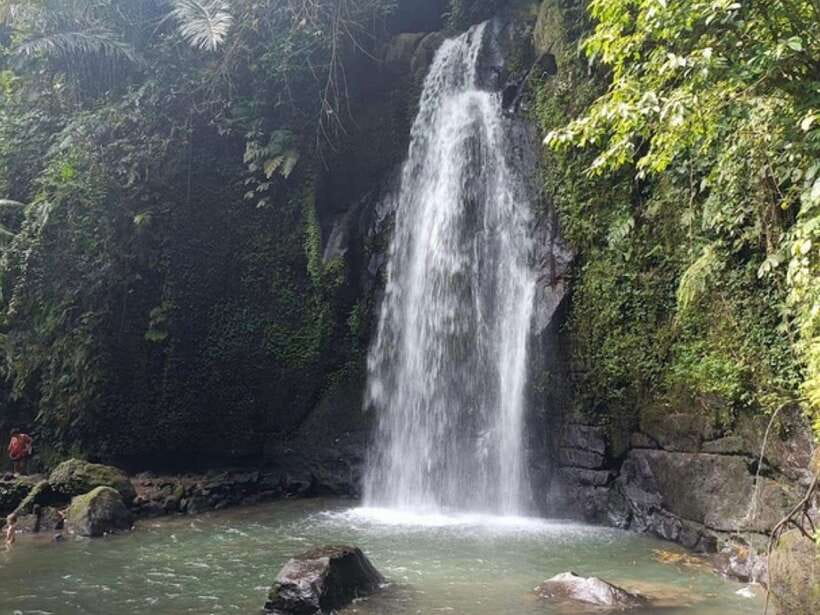 Ubud: Monkey Forest, Temple, Rice Terraces, Hidden Waterfall - Tegalalang rice terraces: photos, farmers, and irrigation you can actually see