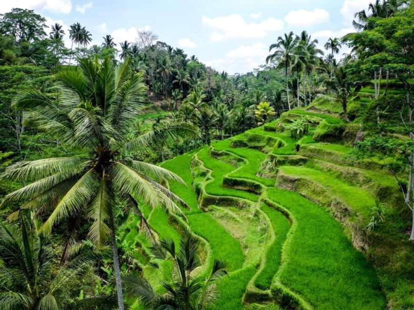 Ubud: Monkey Forest, Temple, Rice Terraces, Hidden Waterfall - Tirta Empul Holy Water Temple: a ritual site that is more than a postcard