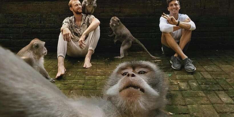 Ubud Monkey Forest, Waterfall, Temple and Rice Terrace Tour - How the day starts: hotel pickup, timing, and what to pack