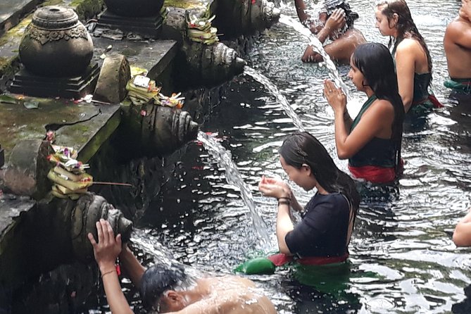 Ubud Natural Gems And Secret Waterfall Private Guided Tour - Tegalalang Rice Terrace: UNESCO-listed scenery plus a short trek