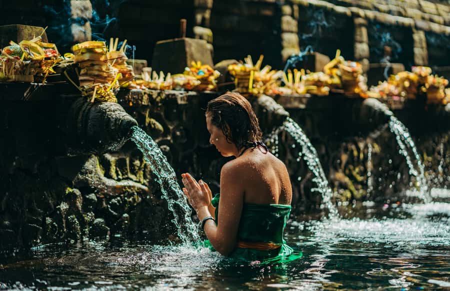 Ubud: Private All-Inclusive Tour with Lunch - The Car, the Driver, and Why English Clarity Improves the Whole Day